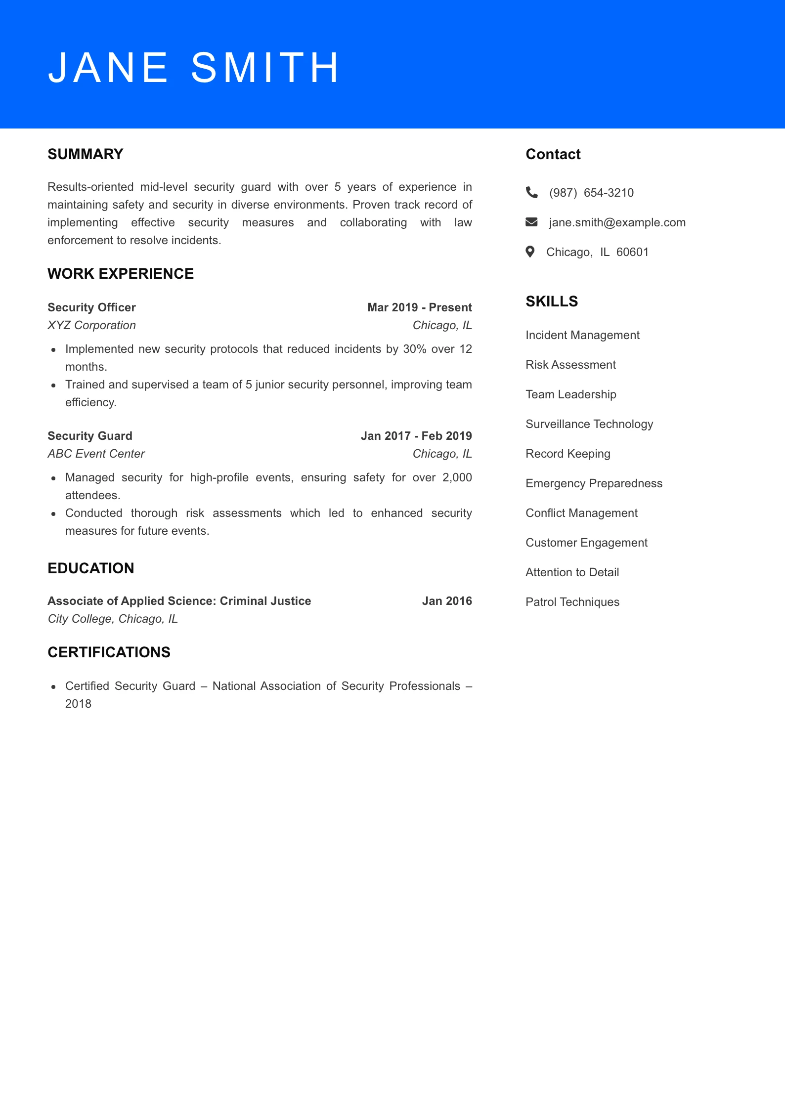 Mid Level Resume Preview