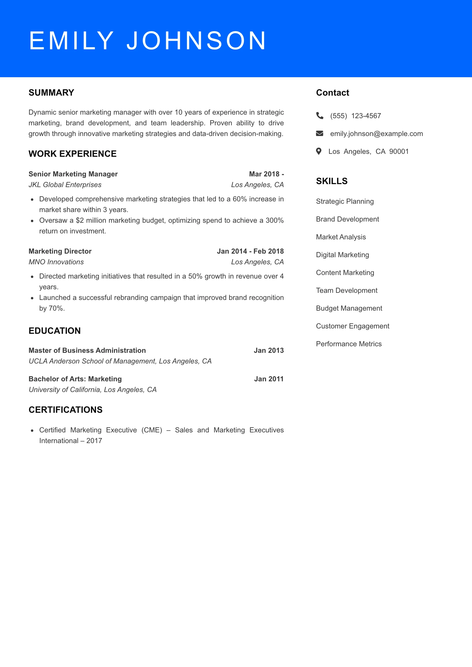 Senior Level Marketing Manager Resume Sample