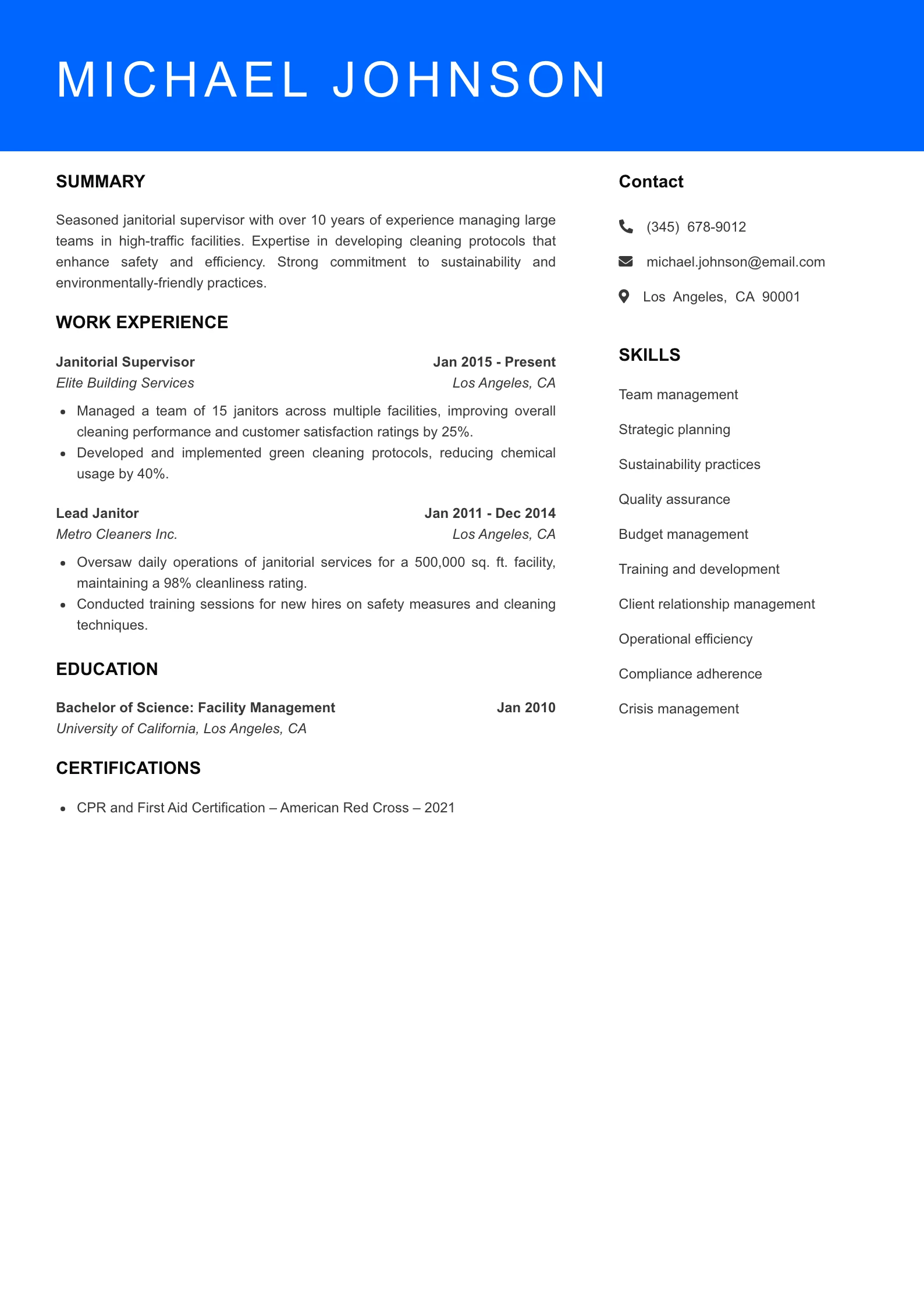 Senior Level Resume Preview